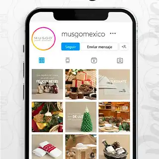 Manejo de redes sociales en Mexico