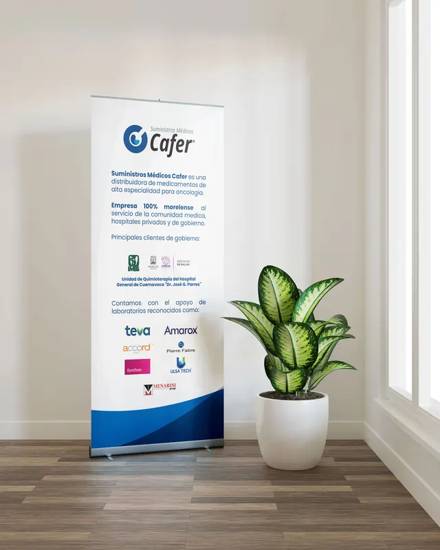 Diseño de Banner y Pendón Corporativos: Corporativo e industria