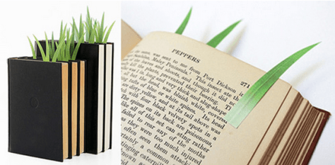 Separadores de libros ¡Son increíbles! 4 pasto-completo