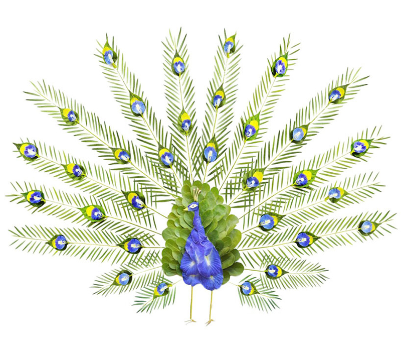 5 Maravillosas obras de arte hechas con flores 2 red-hong-yi-flower-bird-series-designboom-05