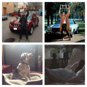 Creatividad que divierte: ¡Recreó escenas románticas con un perro! 11 3AdzT5d