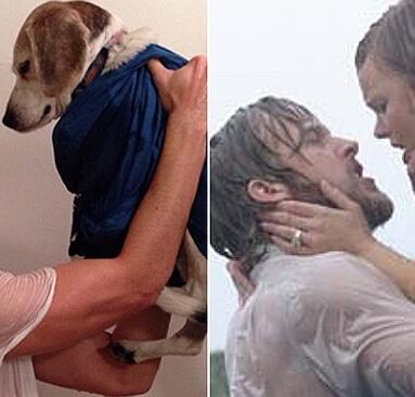 Creatividad que divierte: ¡Recreó escenas románticas con un perro! 4