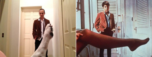 Creatividad que divierte: ¡Recreó escenas románticas con un perro! 7 El-Graduado