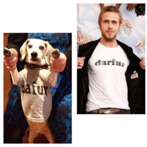 Creatividad que divierte: ¡Recreó escenas románticas con un perro! 13 RyanGosling