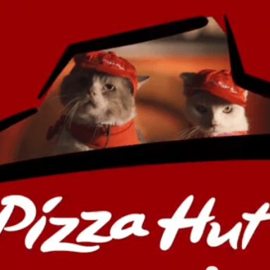 Pizza Cat: ¿Pizza Hut se anuncia con gatos? No pararás de reír 5