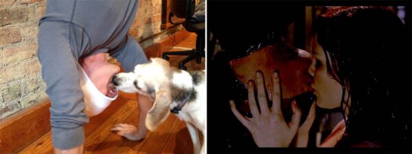 Creatividad que divierte: ¡Recreó escenas románticas con un perro! 10 Spiderman