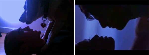 Creatividad que divierte: ¡Recreó escenas románticas con un perro! 3 Top-Gun