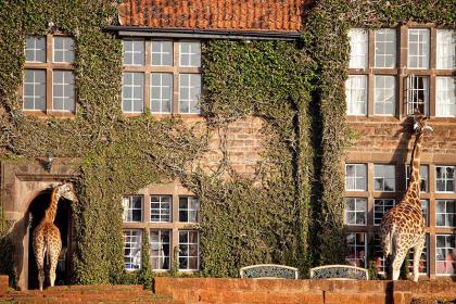 Hoteles asombrosos ¡Tienes que verlos para creerlo! 30 haute-today-giraffe-manor-1