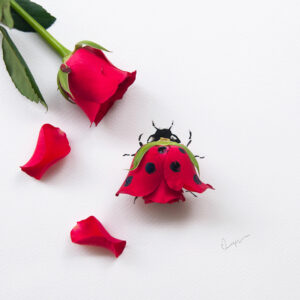 Las flores de Lim Zhi Wei: Arte al natural 27 15248809792_7a214bcf60_b