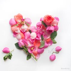 Las flores de Lim Zhi Wei: Arte al natural 22 da968312a24ced840003789a657e01af