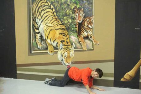 Art in Island: ¡El museo 3D más original que has visto! 9 11018613_922755537775806_7256709299450106647_n