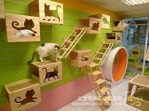 Decoraciones originales para casas ¡Haz la tuya! 12 casa-gato1