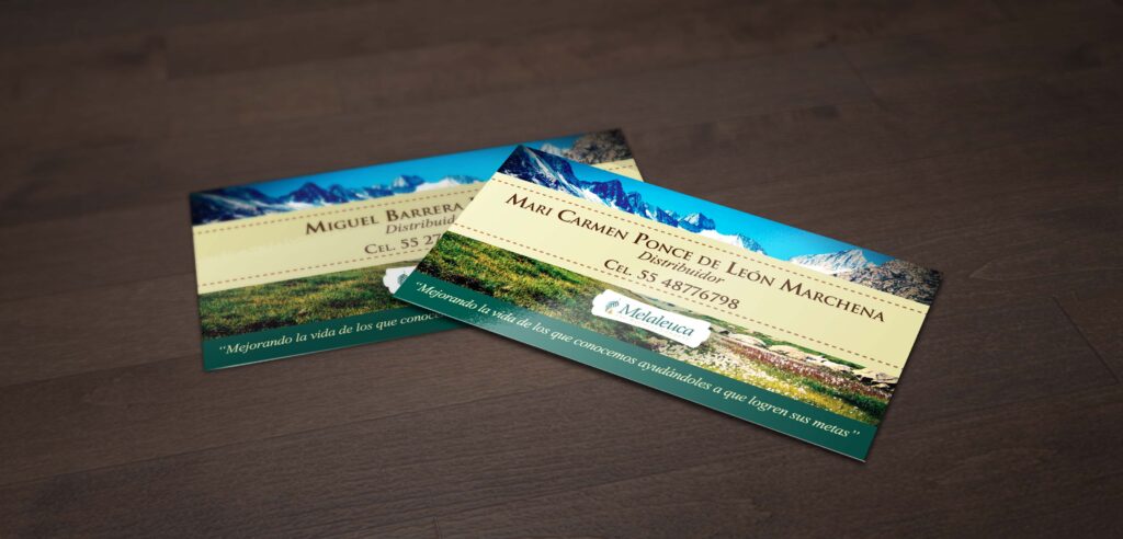 Los 15 mejores diseños de tarjetas de presentación en México 5 tarjetas de presentación