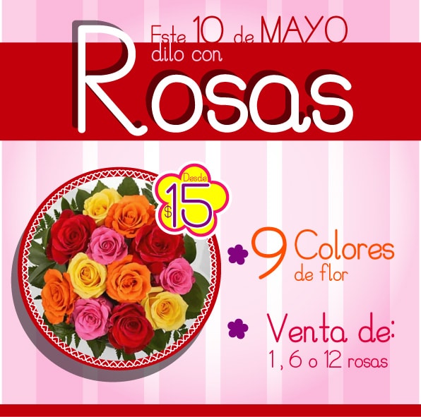 diseño profesional
