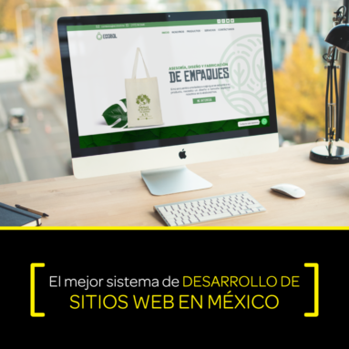 El mejor sistema de desarrollo de sitios web en México. DesarrolleWebMexico_Dest