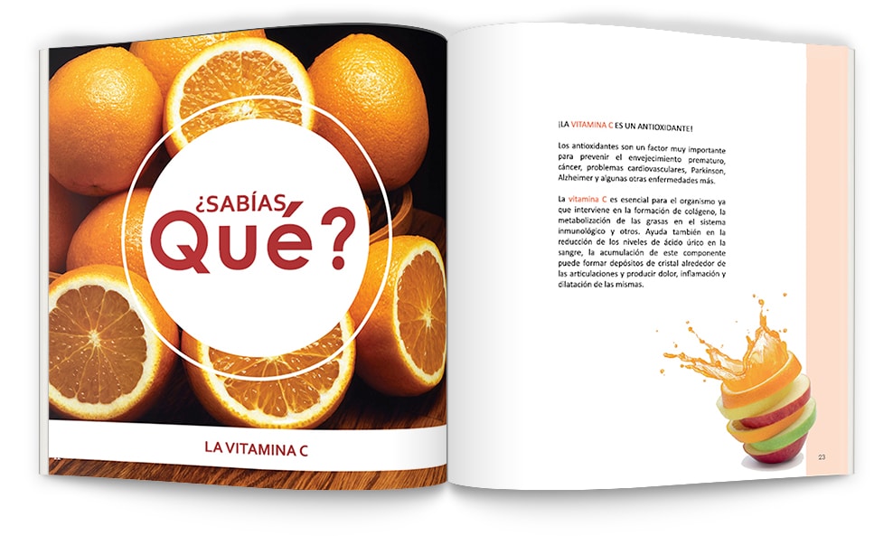 Diseño de catálogos, manuales y folletos en Cuernavaca y CDMX 6